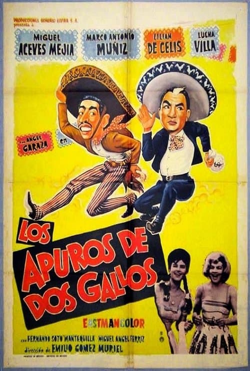 Los apuros de dos gallos poster