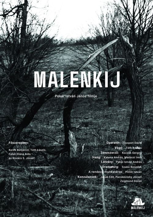 Malenkij poster