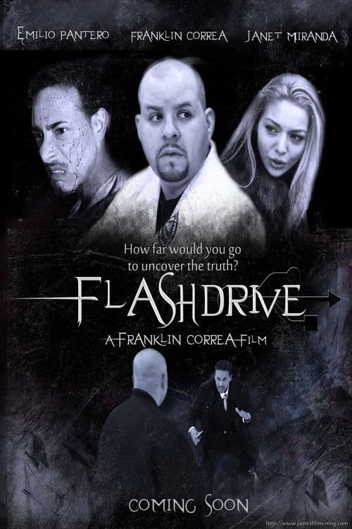 Flashdrive poster