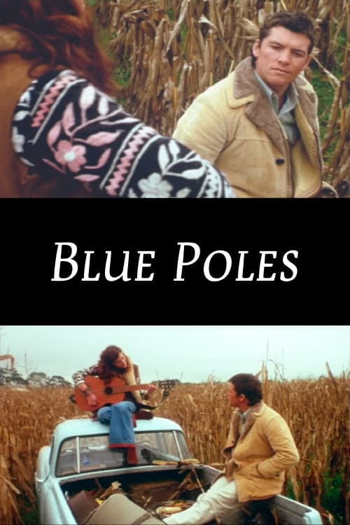 Blue Poles poster