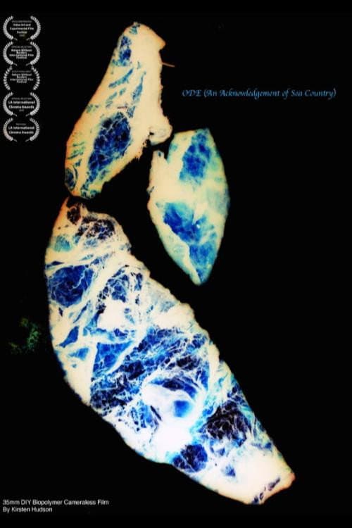 Ode (An Acknowledgement of Sea Country) poster