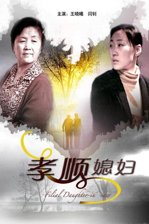 孝顺媳妇 poster