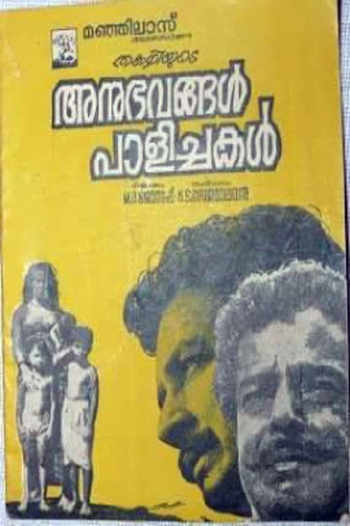 Anubhavangal Palichakal poster