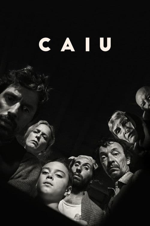 Caiu poster