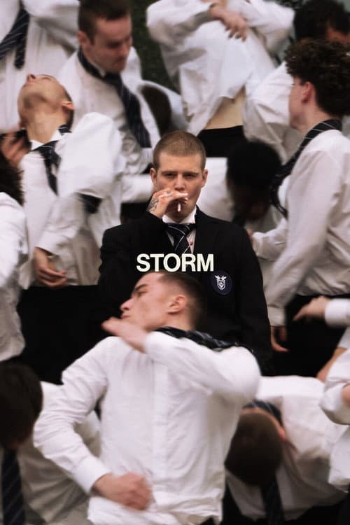 STORM poster