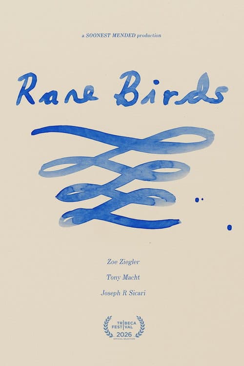 Rare Birds poster