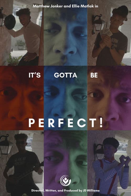 It's Gotta Be Perfect! poster