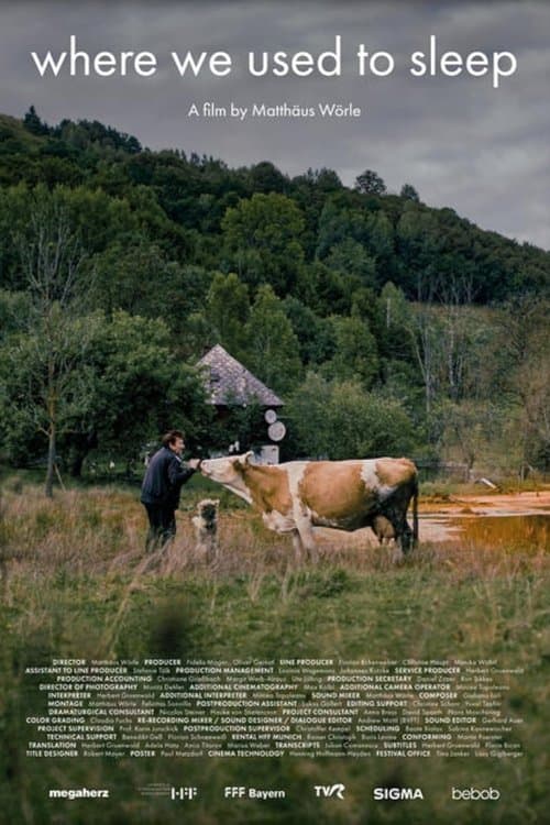 Where We Used to Sleep