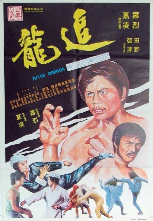 Fist of Dragon poster