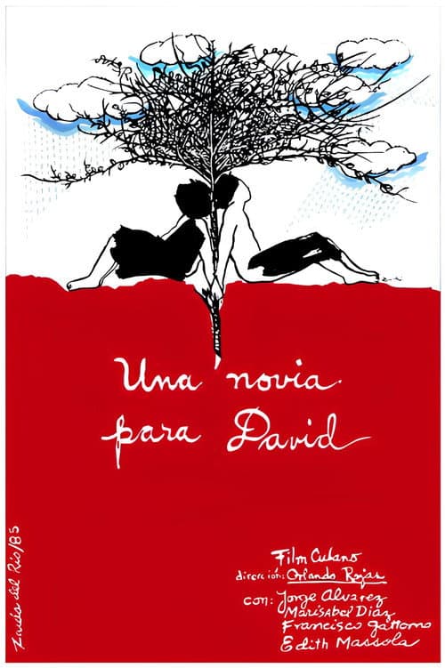 Una novia para David poster