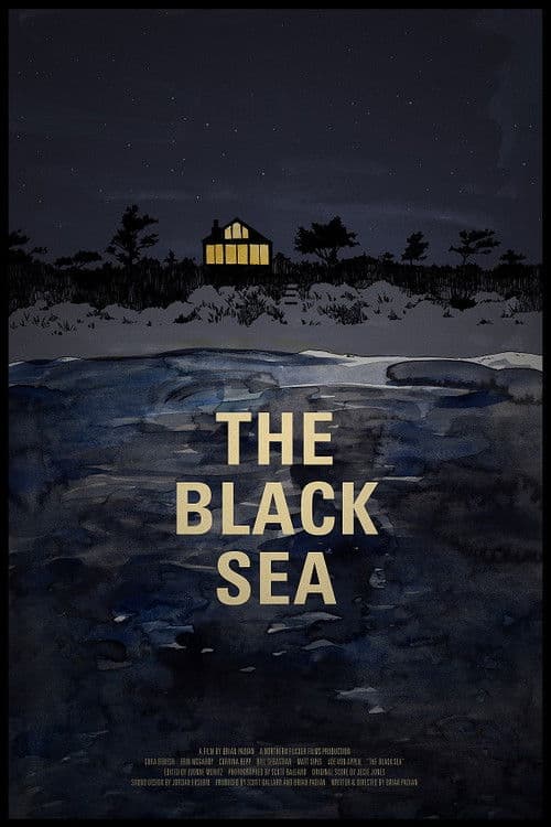 The Black Sea poster