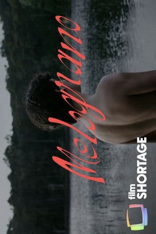 Melograno poster