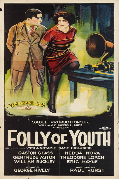 Folly of Youth poster