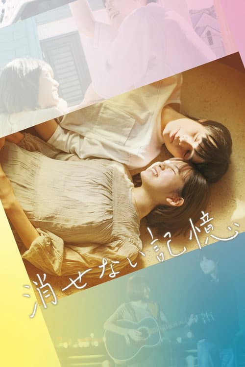INDELIBLE MEMORIES poster