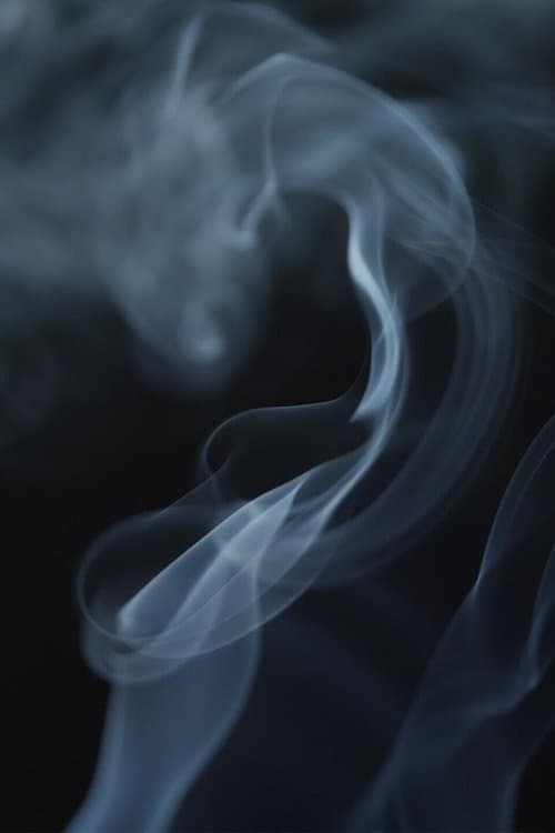 The Cannabis Question poster