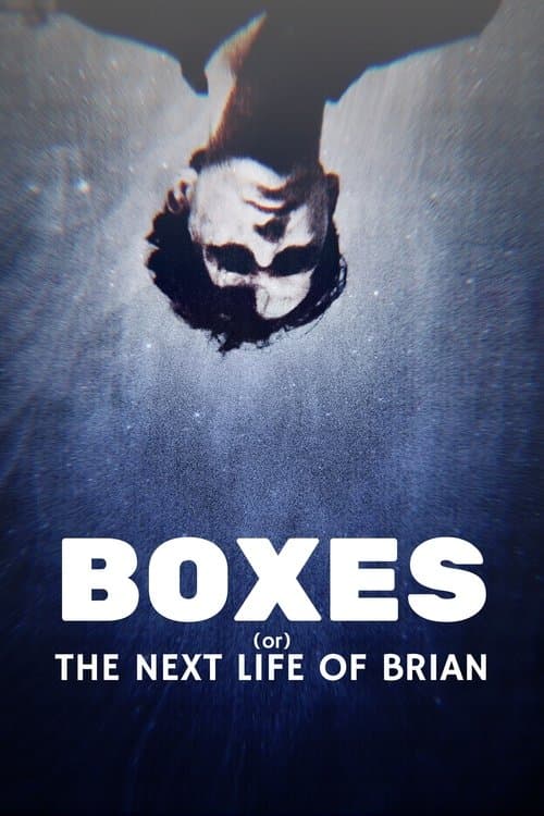 Boxes (or) The Next Life Of Brian poster