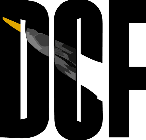 Dolnośląskie Centrum Filmowe