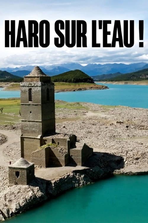 Wohin die Flüsse verschwinden - Leben in der Wasserkrise poster