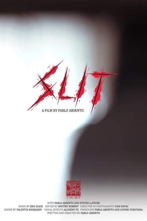 Slit poster