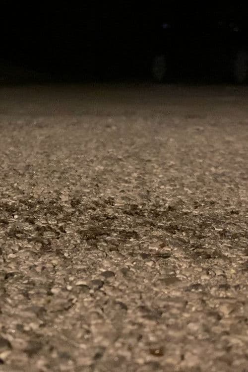 Snails Steadily Stroll the Street 2: Diligent Dirt-Dwellers Dash (Snails Steadily Stroll Lenin Nightcore Remix) poster