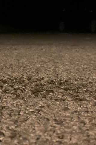 Snails Steadily Stroll the Street 2: Diligent Dirt-Dwellers Dash (Snails Steadily Stroll Lenin Nightcore Remix)