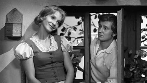 Lesní ženka poster