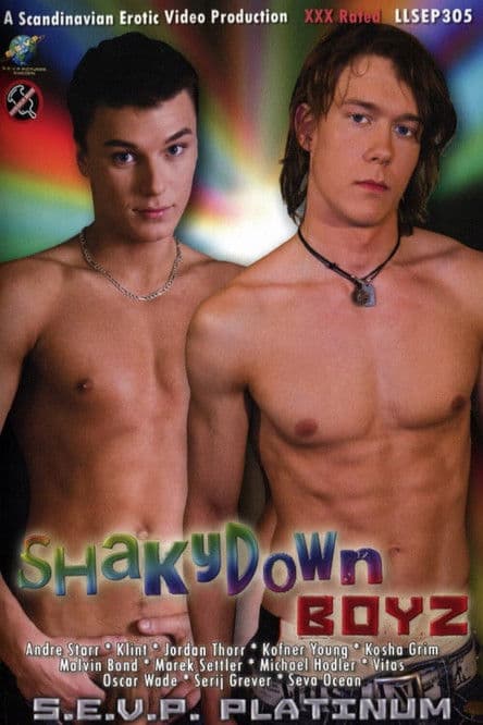 Shakydown Boyz poster