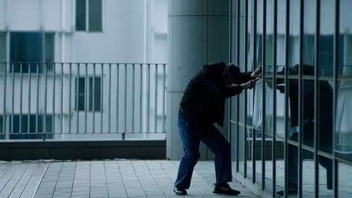 The Wayward Bird poster