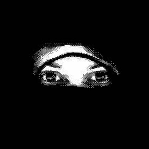 Mídia Ninja