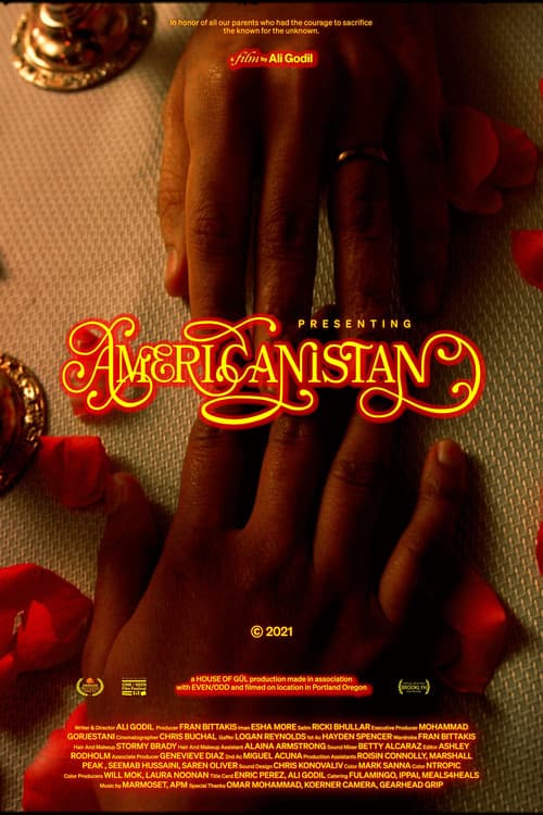 Americanistan poster