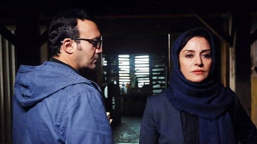 The Misunderstanding poster