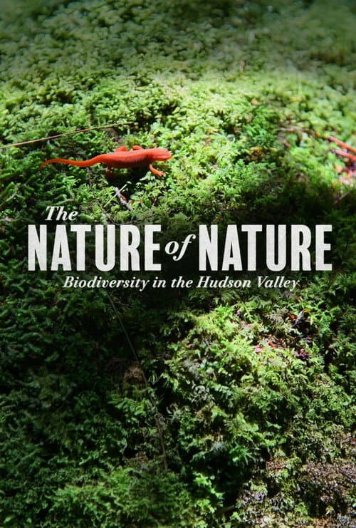 The Nature of Nature: Biodiversity in the Hudson Valley poster