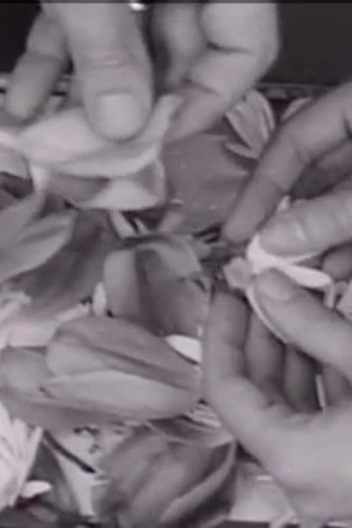 The Clouds That Touch Us Out of Clear Skies poster