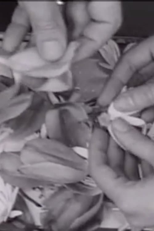 The Clouds That Touch Us Out of Clear Skies poster