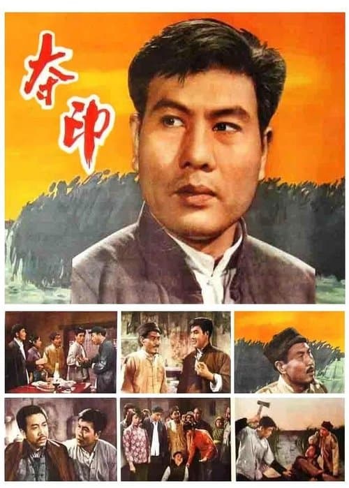 夺印 poster