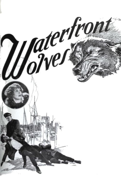 Waterfront Wolves poster