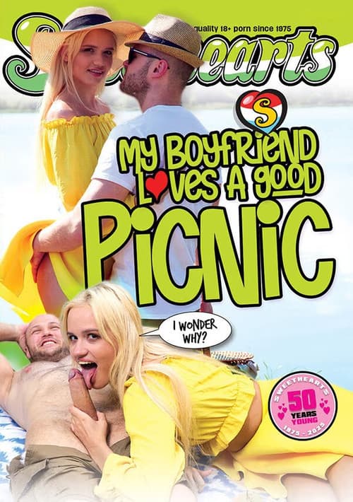 My Boyfriend Loves a Good Picnic poster
