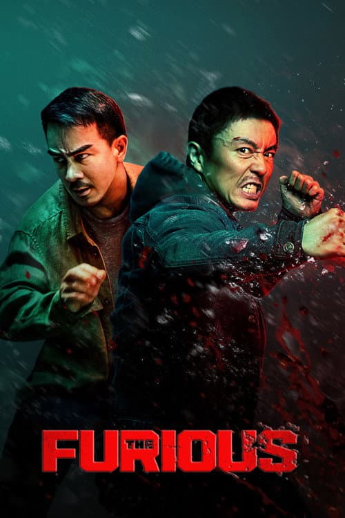 The Furious poster
