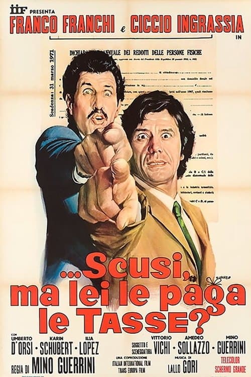 ...Excuse Me, Do You Pay Taxes? poster