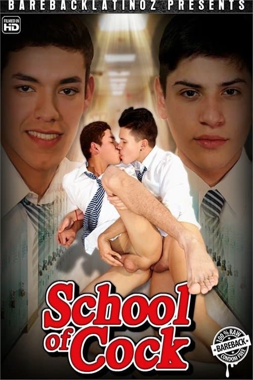 School of Cock poster