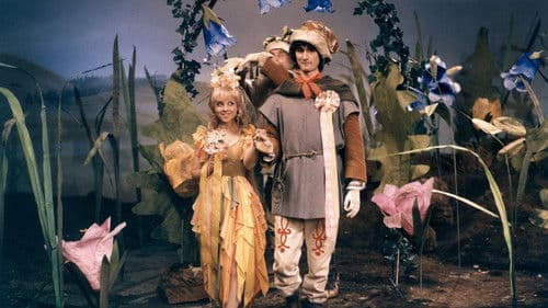 Pohádka z šafránové louky poster