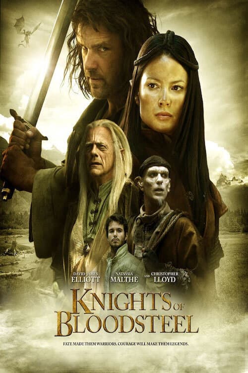 Knights of Bloodsteel poster