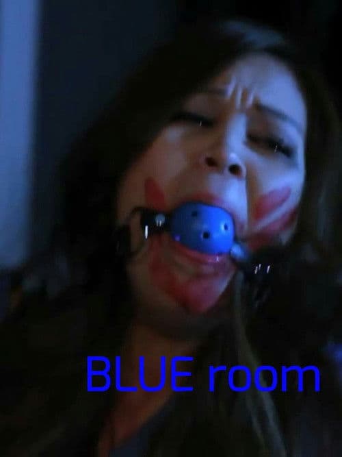 Blue Room poster