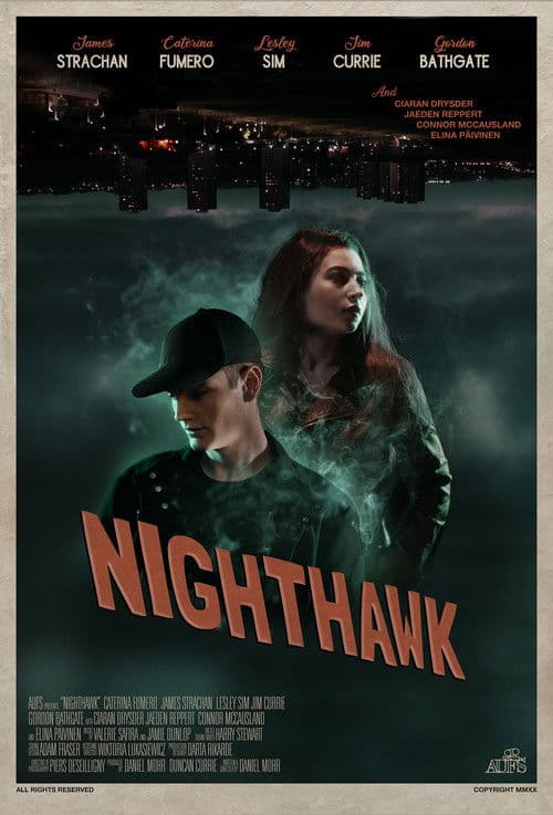 Nighthawk poster