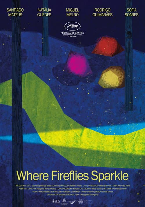 Where Fireflies Sparkle poster