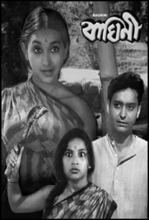 Baghini poster