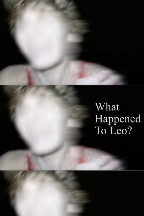 What Happened to Leo? poster
