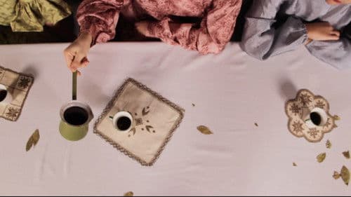 Fragility of Language poster