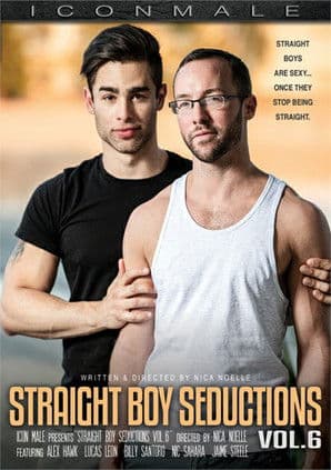 Straight Boy Seductions 6 poster