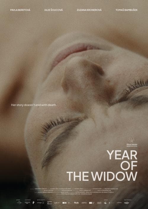 Year of the Widow poster